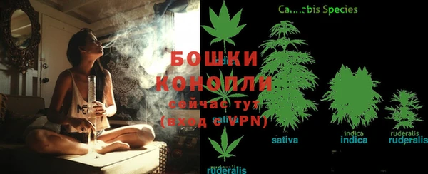 спиды Бронницы