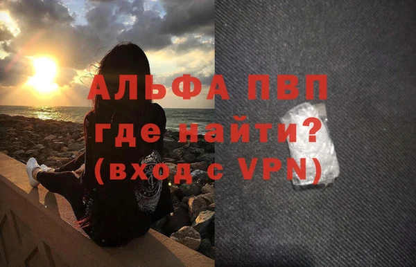 прущие грибы Верея