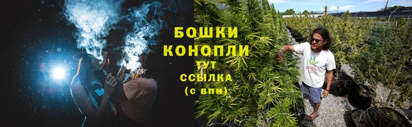 спиды Бронницы