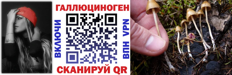 нарко площадка официальный сайт  hydra tor  Вышний Волочёк  где купить наркоту  Псилоцибиновые грибы Psilocybe 
